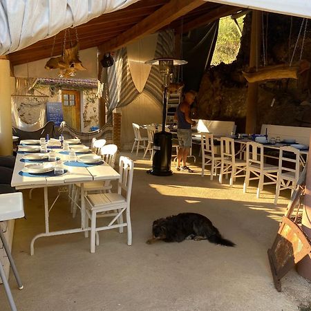 Unique Tiny House with Natural Building Techniques Figueiro Dos Vinhos Extérieur photo