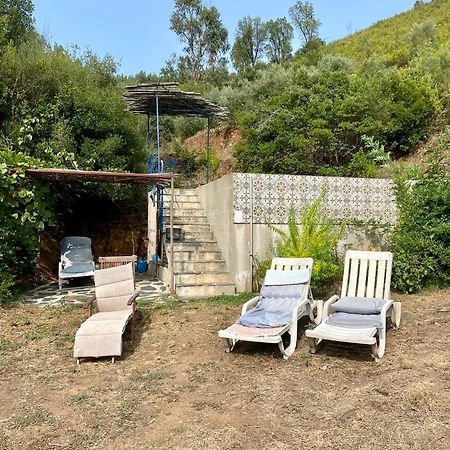 Unique Tiny House with Natural Building Techniques Figueiro Dos Vinhos Extérieur photo