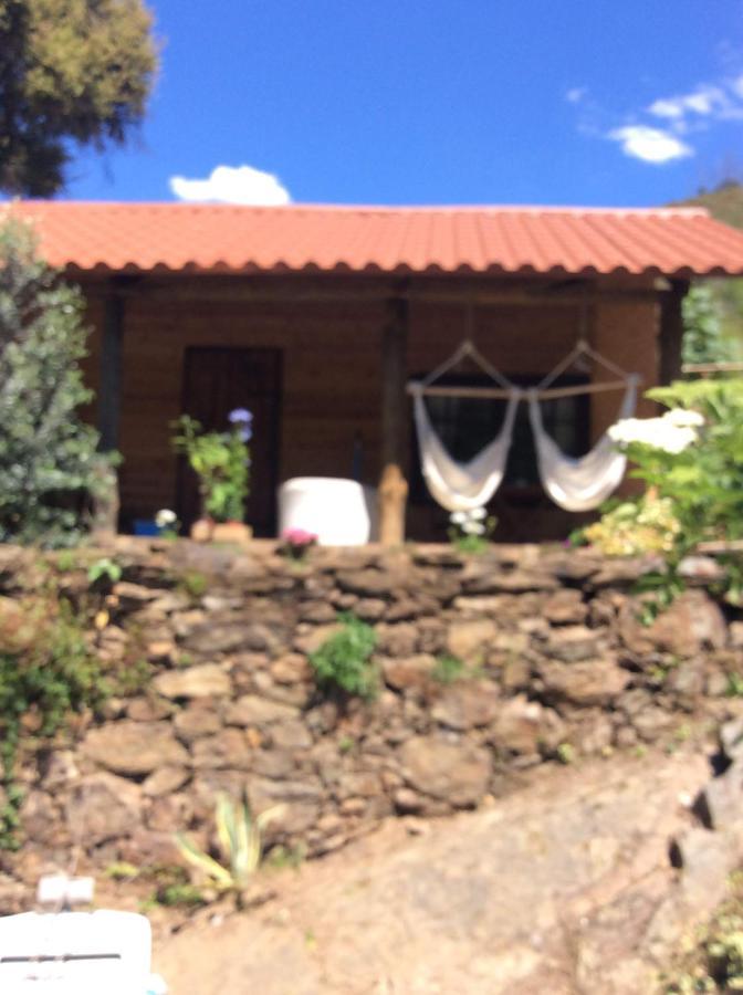 Unique Tiny House with Natural Building Techniques Figueiro Dos Vinhos Extérieur photo