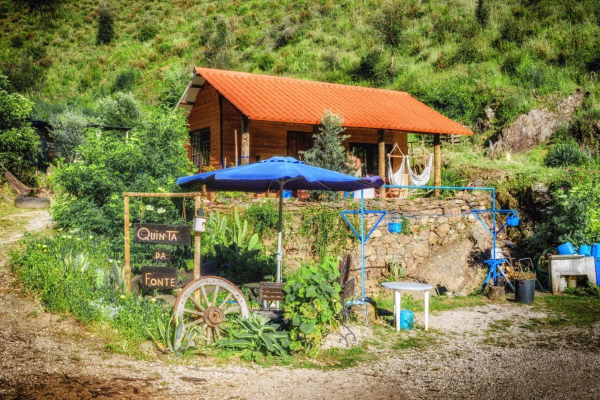 Unique Tiny House with Natural Building Techniques Figueiro Dos Vinhos Extérieur photo