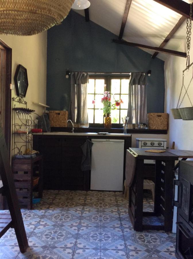 Unique Tiny House with Natural Building Techniques Figueiro Dos Vinhos Extérieur photo