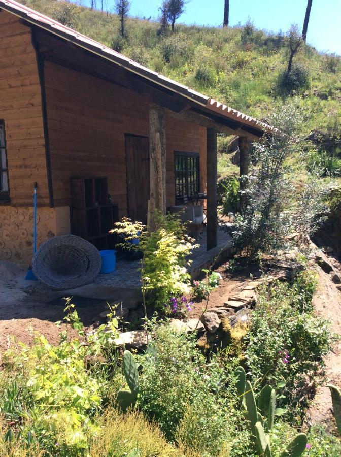 Unique Tiny House with Natural Building Techniques Figueiro Dos Vinhos Extérieur photo