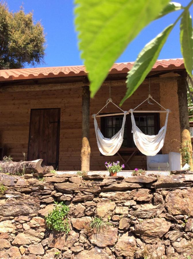 Unique Tiny House with Natural Building Techniques Figueiro Dos Vinhos Extérieur photo