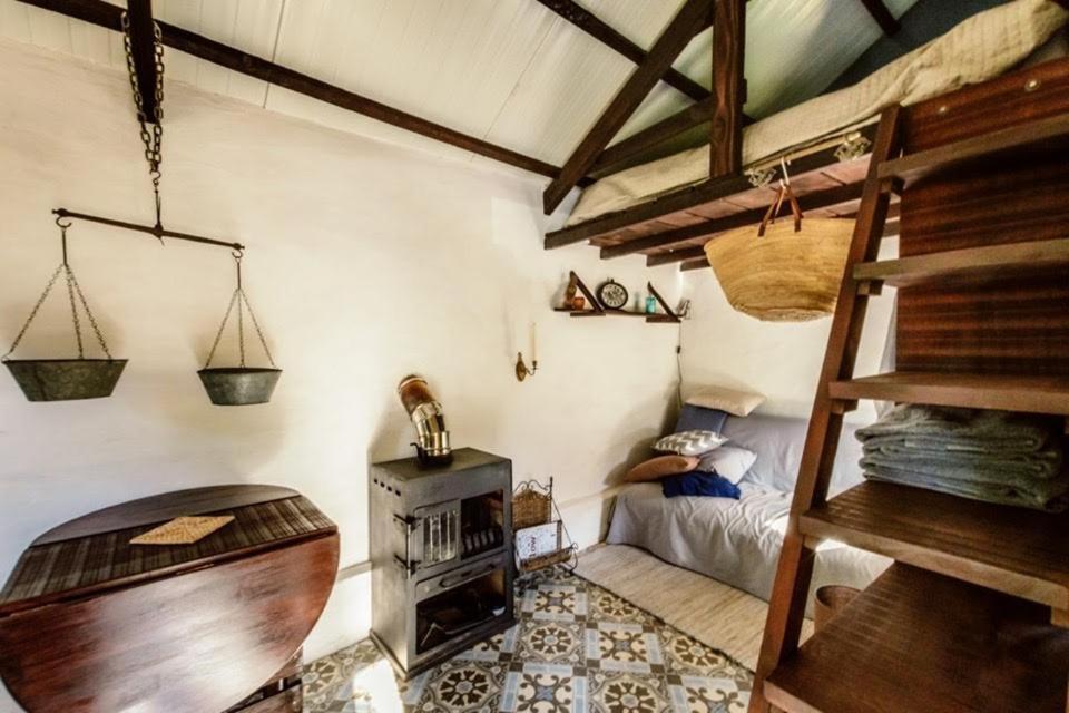 Unique Tiny House with Natural Building Techniques Figueiro Dos Vinhos Extérieur photo