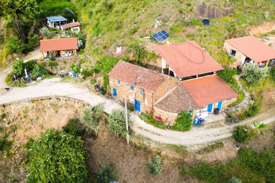 Unique Tiny House with Natural Building Techniques Figueiro Dos Vinhos Extérieur photo