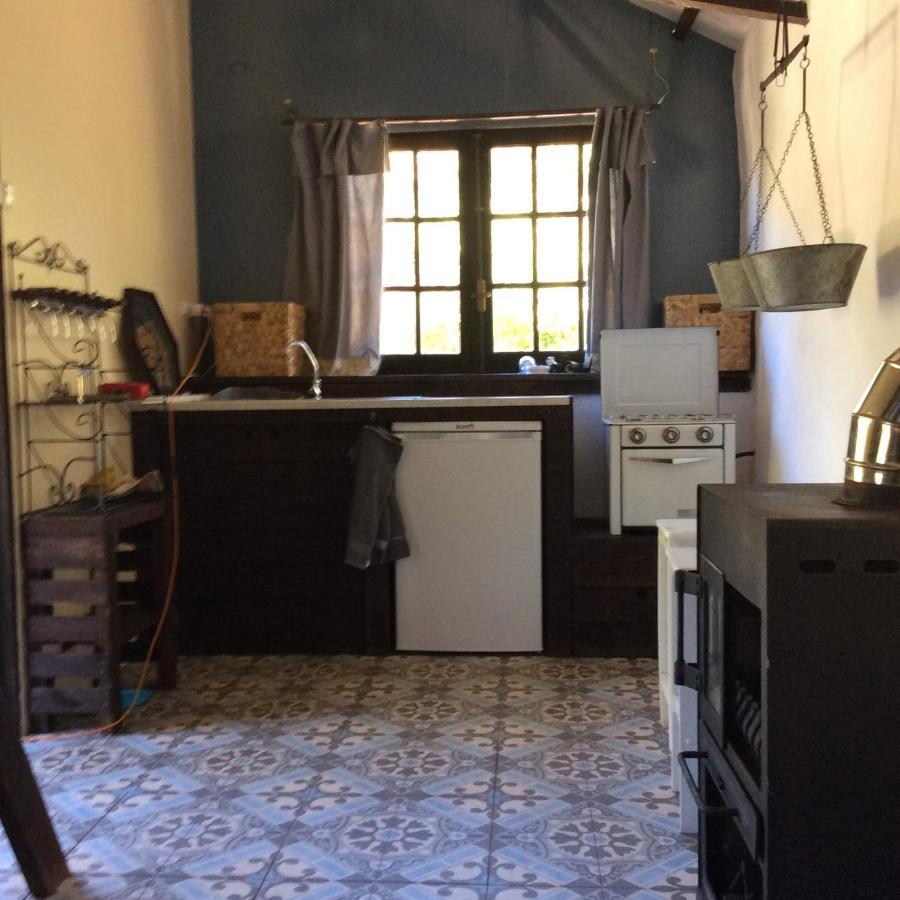 Unique Tiny House with Natural Building Techniques Figueiro Dos Vinhos Extérieur photo