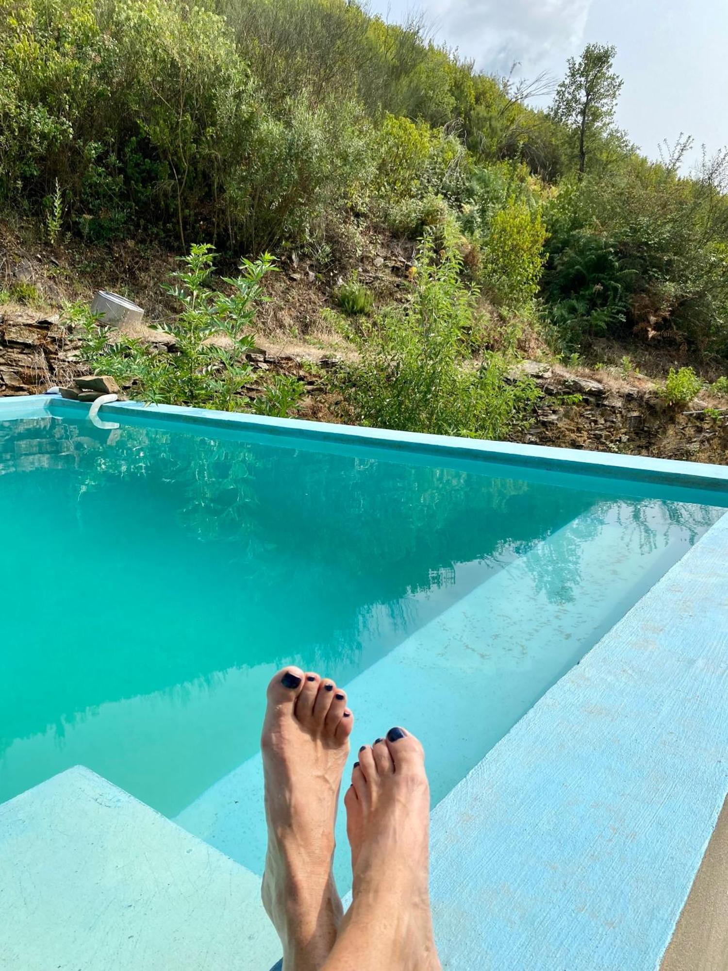 Unique Tiny House with Natural Building Techniques Figueiro Dos Vinhos Extérieur photo
