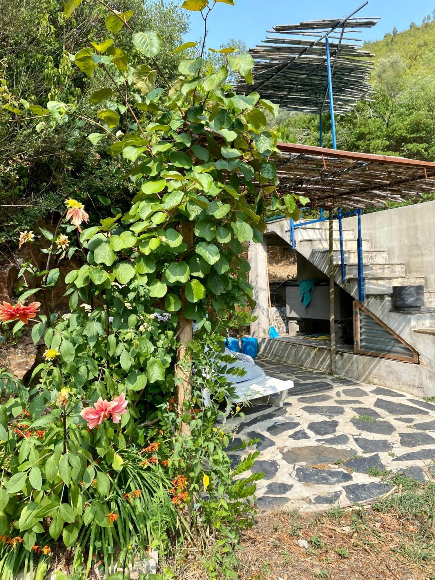 Unique Tiny House with Natural Building Techniques Figueiro Dos Vinhos Extérieur photo