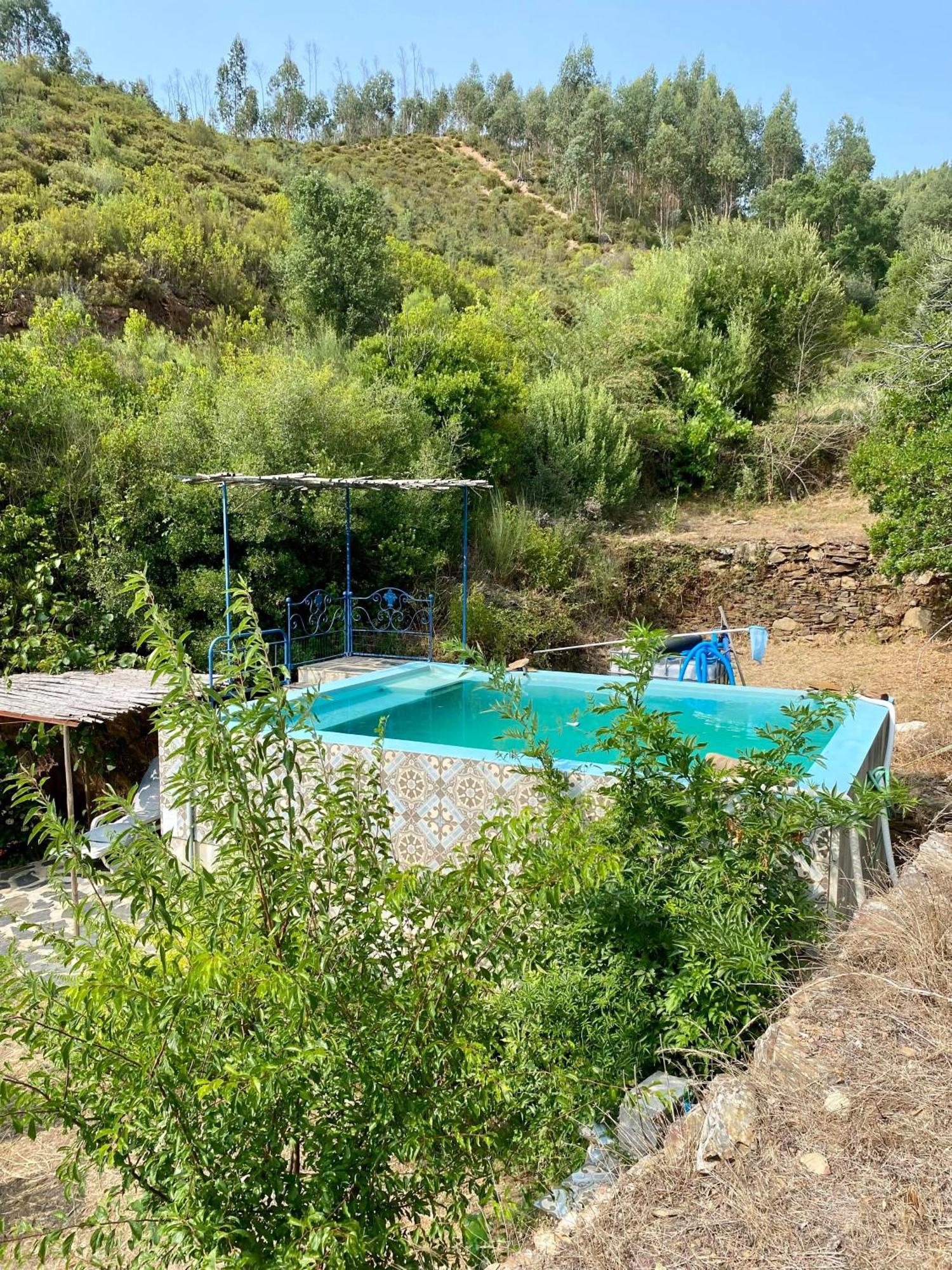 Unique Tiny House with Natural Building Techniques Figueiro Dos Vinhos Extérieur photo