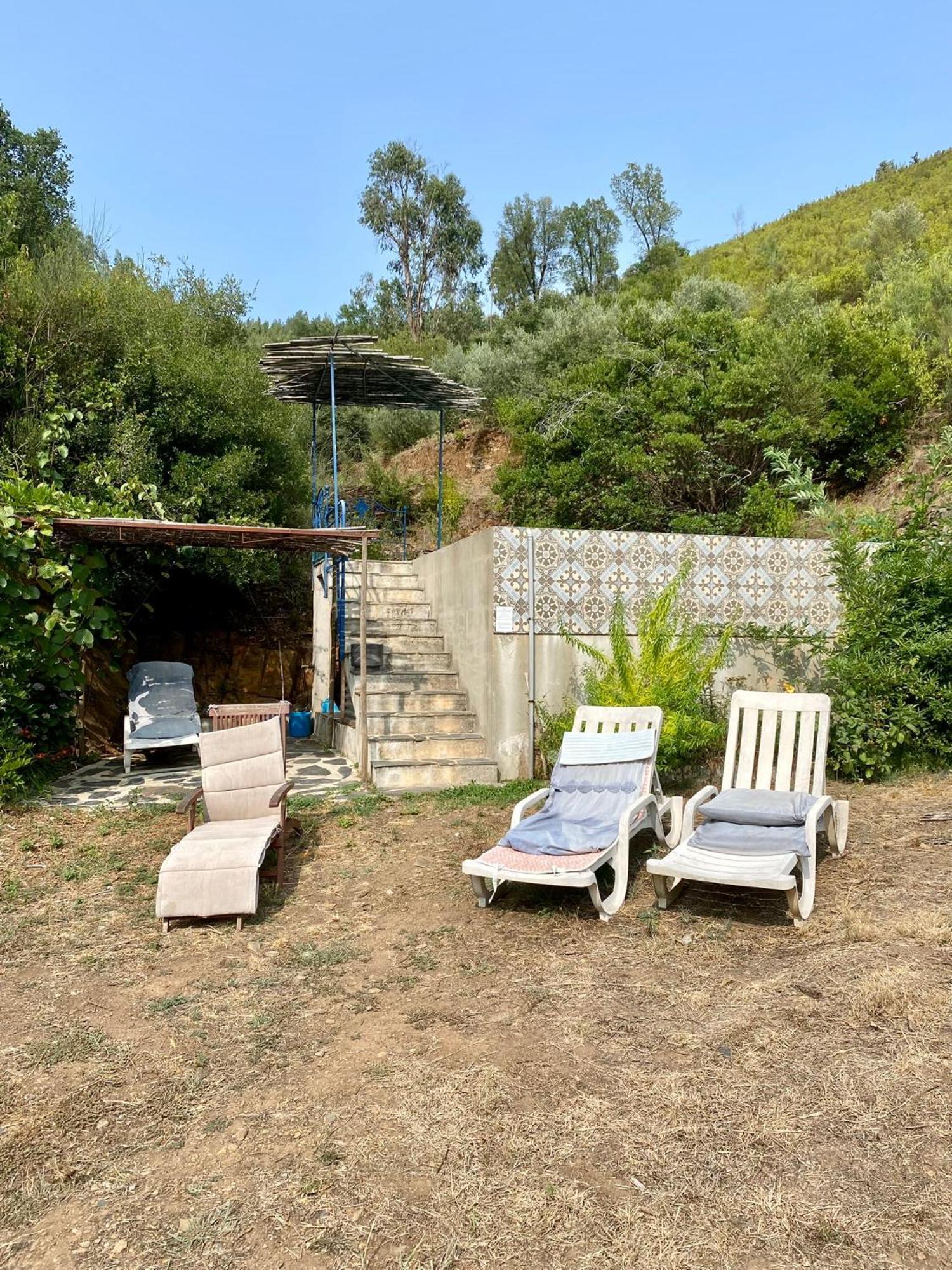Unique Tiny House with Natural Building Techniques Figueiro Dos Vinhos Extérieur photo