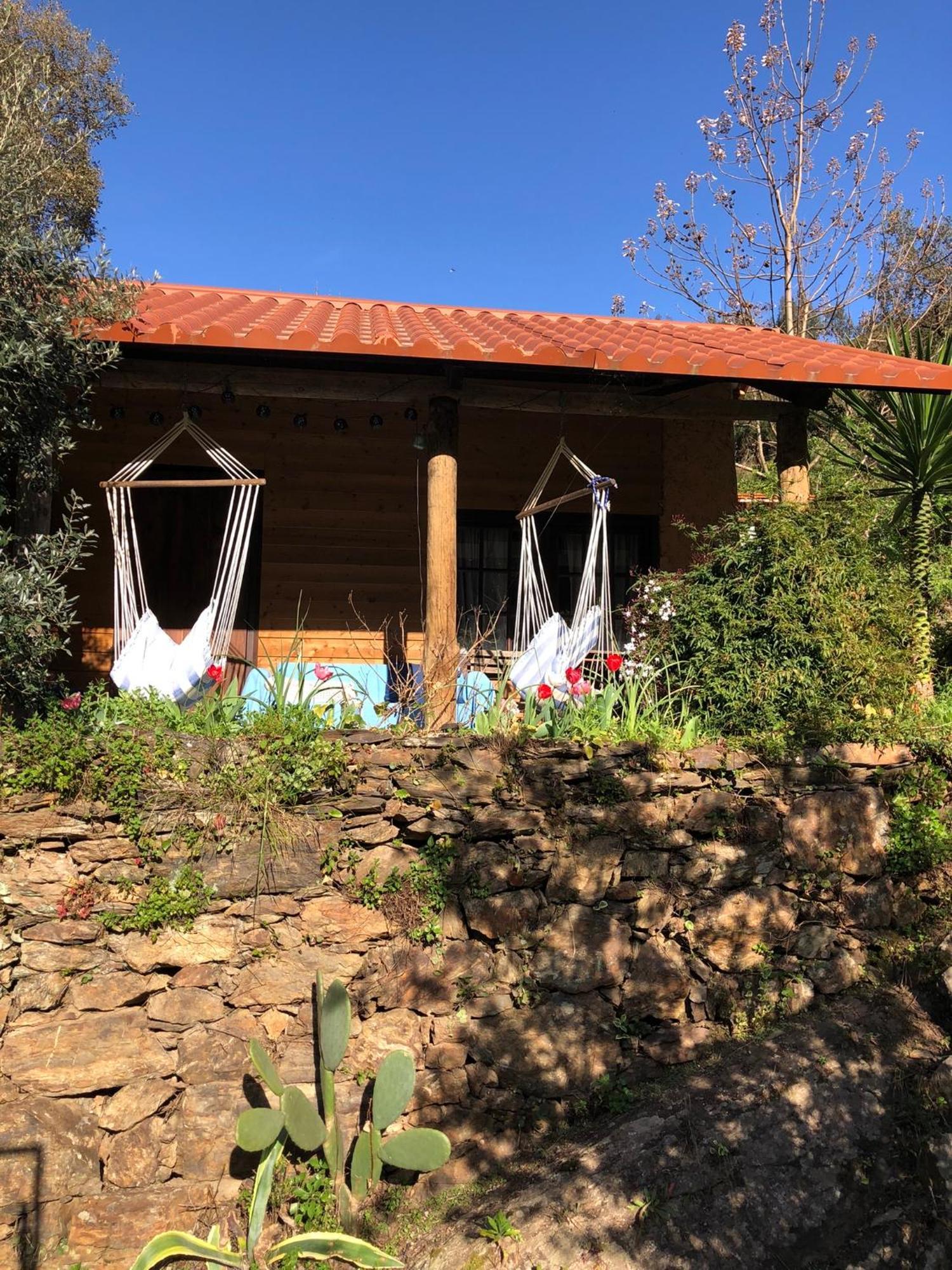 Unique Tiny House with Natural Building Techniques Figueiro Dos Vinhos Extérieur photo
