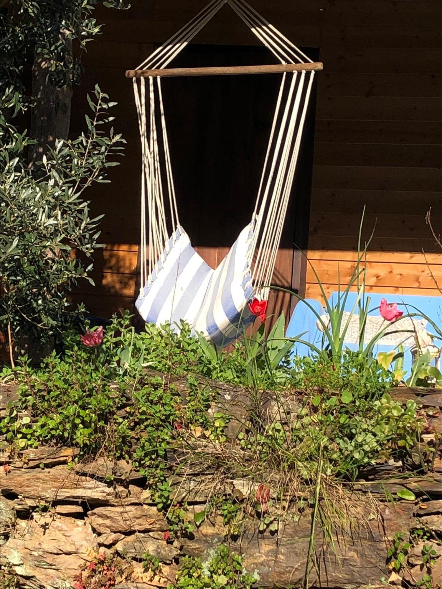 Unique Tiny House with Natural Building Techniques Figueiro Dos Vinhos Extérieur photo